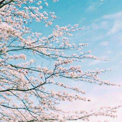 365体育官方唯一入口下载手机版